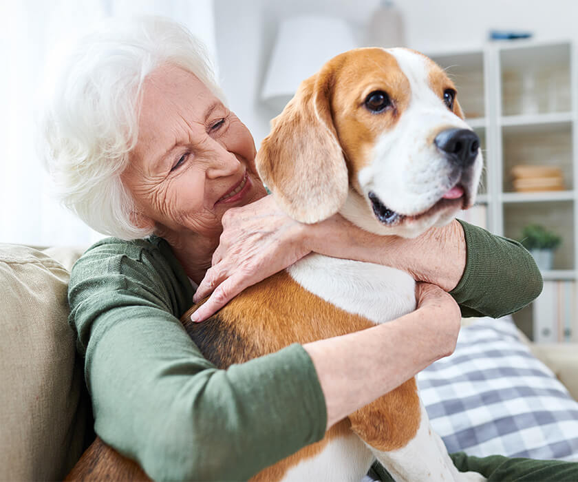 Smiling older adult cuddling a beagle in a cozy living space.